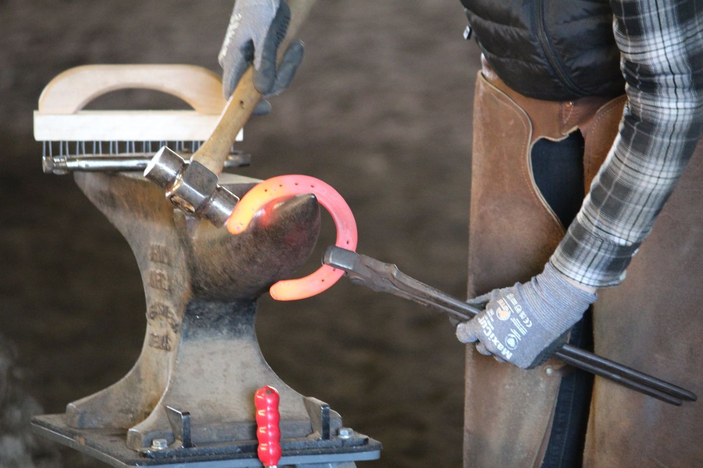 Instructor demonstrating hoof trimming